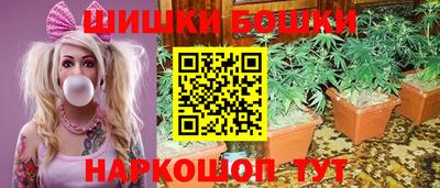 крисы Бузулук